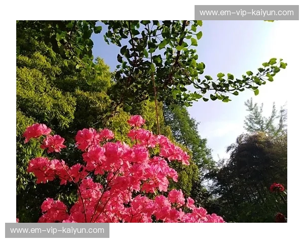 龙影与象神的咆哮:中国武术vs泰拳,一场跨越世纪的格斗宿命 龙影与象神的咆哮:中国武术vs泰拳,一场跨越世纪的格斗宿命